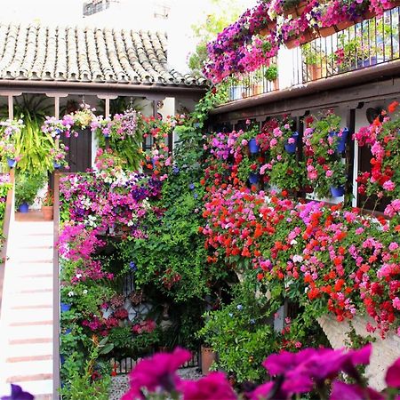 Ferienwohnung Puerta A La Mezquita Córdoba Exterior foto