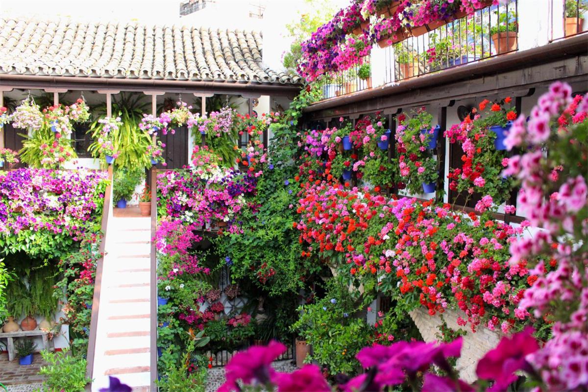 Ferienwohnung Puerta A La Mezquita Córdoba Exterior foto